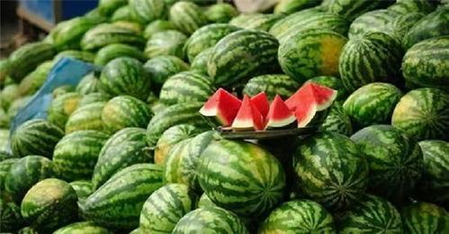 网红富贵闲人吃瓜视频,揭秘网红圈幕后故事