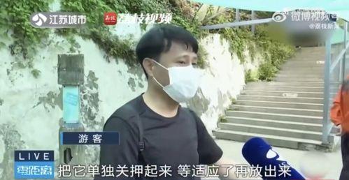 网红霸凌吃瓜男