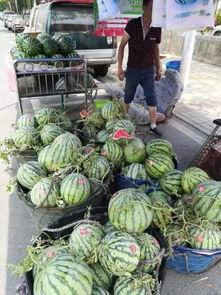 合肥吃瓜网红事件,揭秘网络舆论的风暴与真相