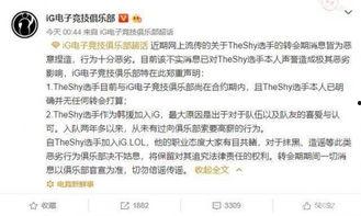 假装吃瓜爆料文案,假装吃瓜，揭秘明星幕后真相